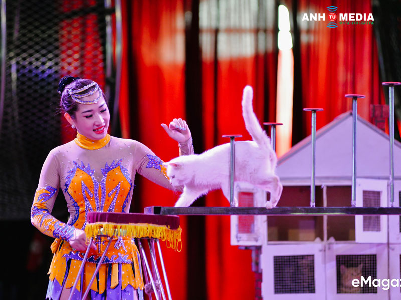 Anh-tu-media-don-vi-cho-thue-nhan-su-bieu-dien-xiec-nghe-si-nghe-thuat-tai-da-nang-anhtumedia