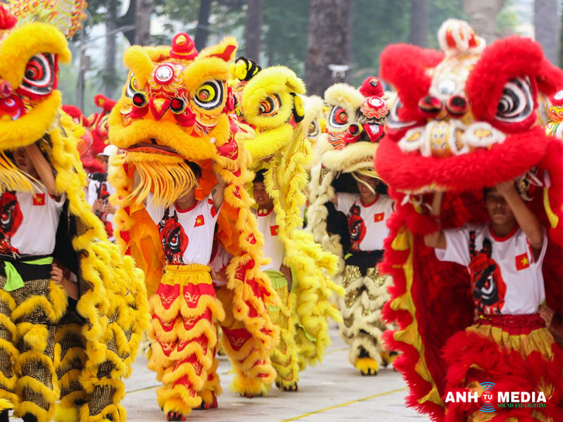 Don-vi-cho-thue-doi-mua-lan-su-rong-tai-da-nang-gia-re-anhtumedia