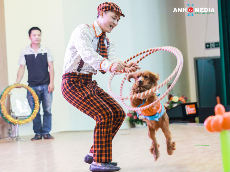 Vai-tro-cua-nhung-tiet-muc-bieu-dien-nghe-thuat-anhtumedia