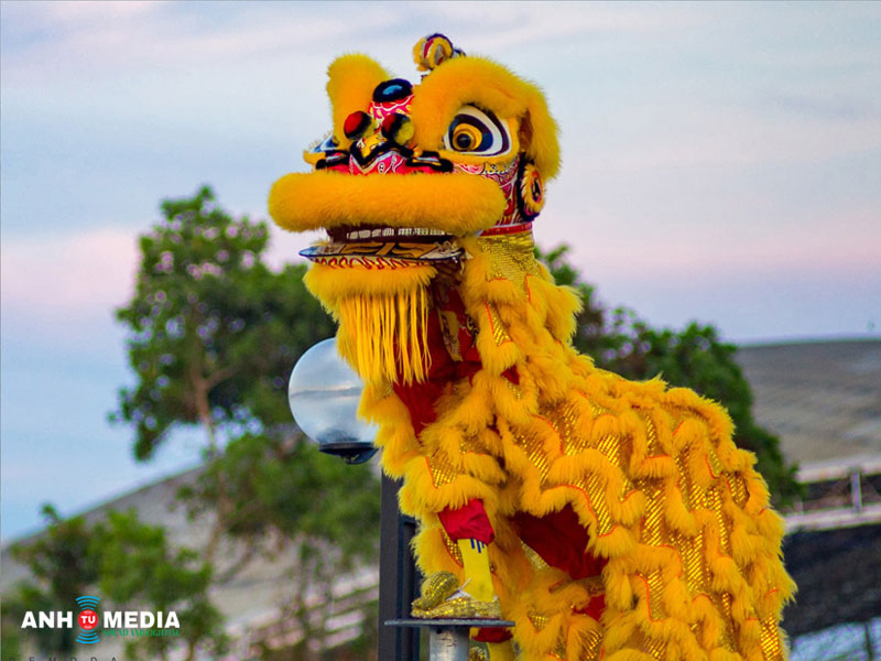 Y-nghia-cua-dich-vu-mua-lan-su-rong-anhtumedia